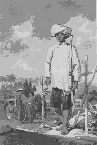 Hình vẽ lính Nam Hà (tr. 284).